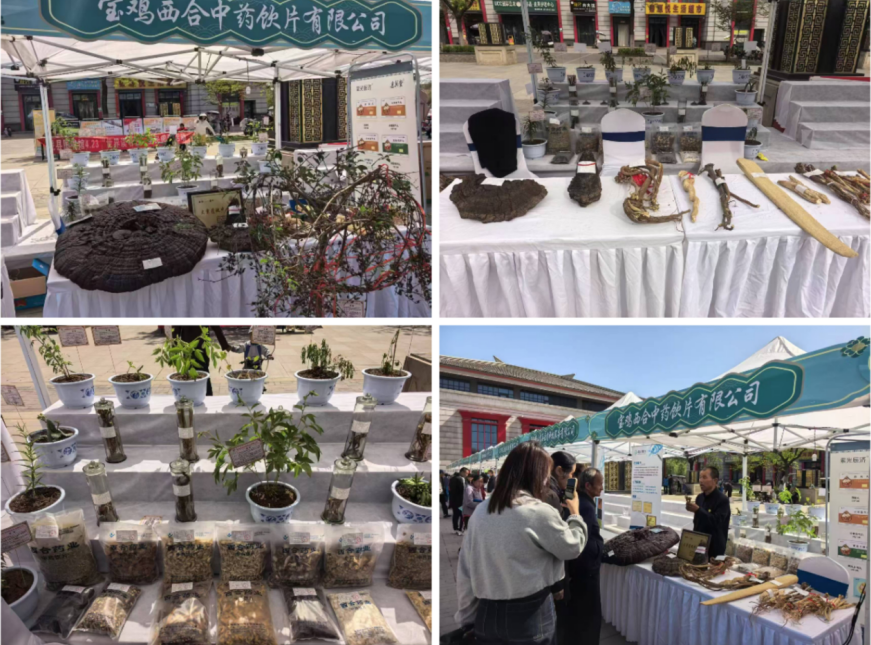 宝鸡市“百市千县”中医药文化惠民活动暨生物医药供需对接会启动